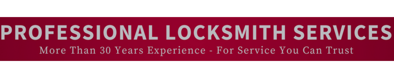 professional locksmith services